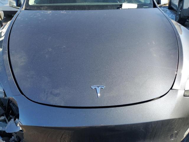 TESLA MODEL Y  2023