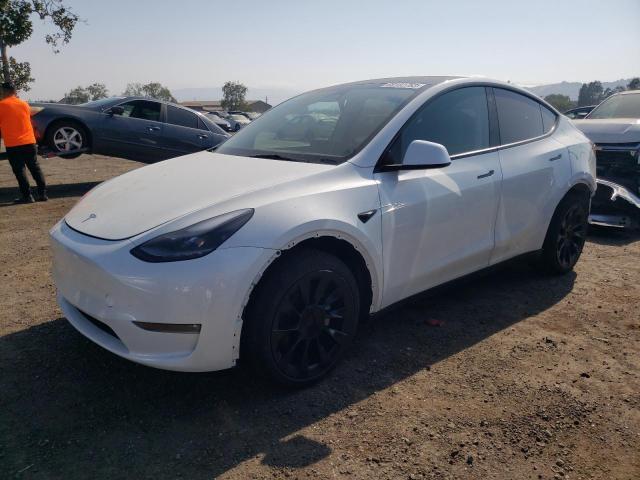 TESLA MODEL Y  2023