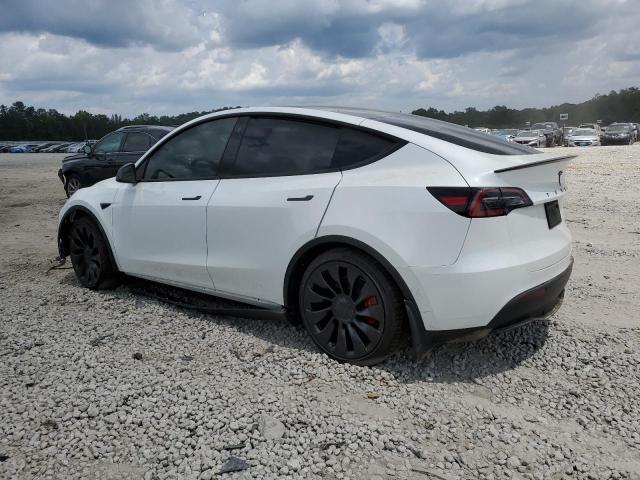 TESLA MODEL Y  2023