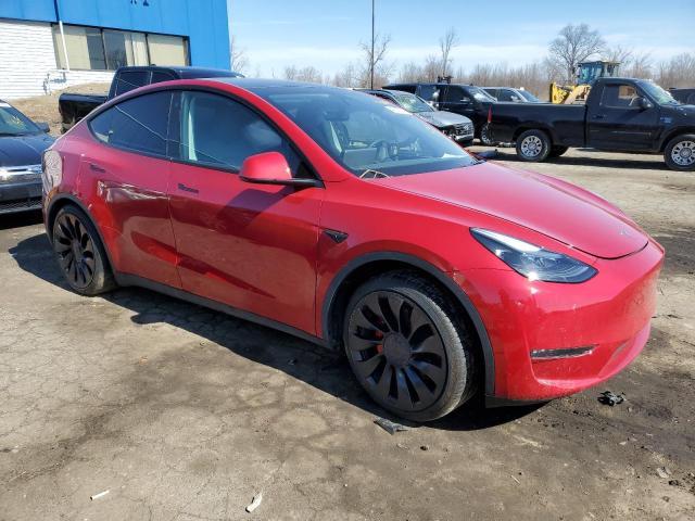 TESLA MODEL Y  2023