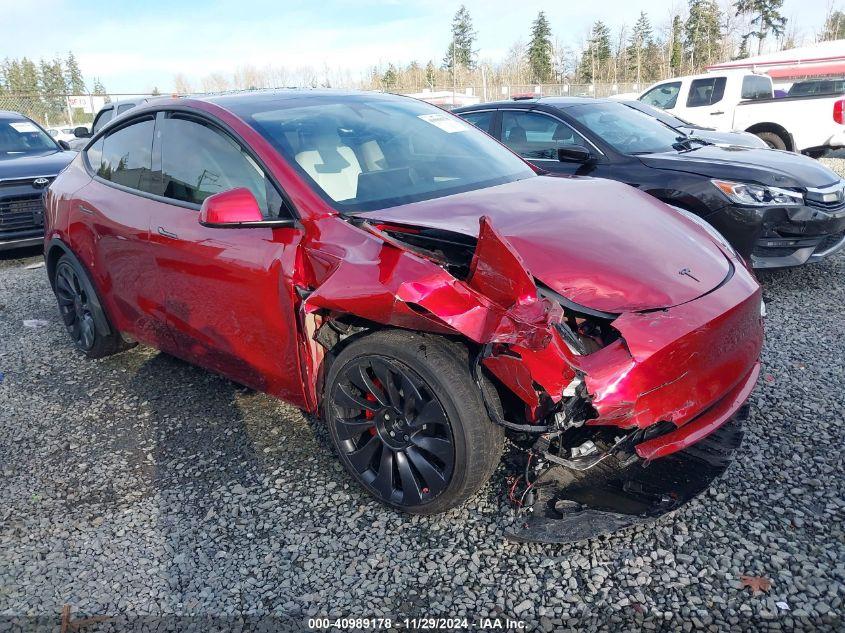 TESLA MODEL Y  2024