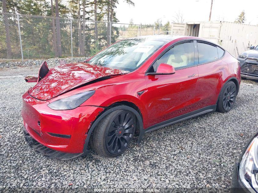 TESLA MODEL Y  2024