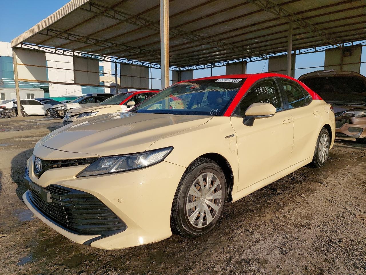 TOYOTA CAMRY  2020