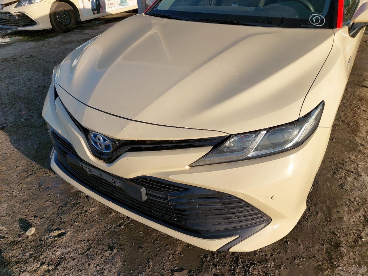 TOYOTA CAMRY  2020