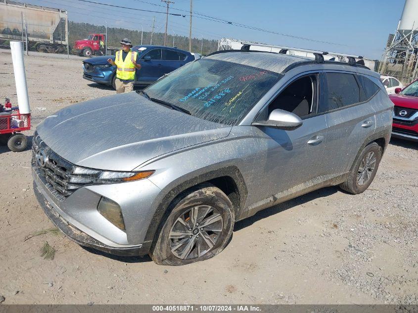 HYUNDAI TUCSON HYBRID BLUE 2024