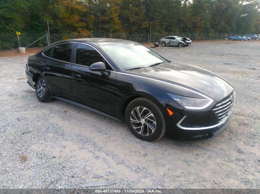 HYUNDAI SONATA HYBRID BLUE 2023