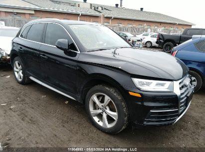 AUDI Q5  2019