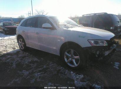 AUDI Q5 PREMIUM PLUS 2017