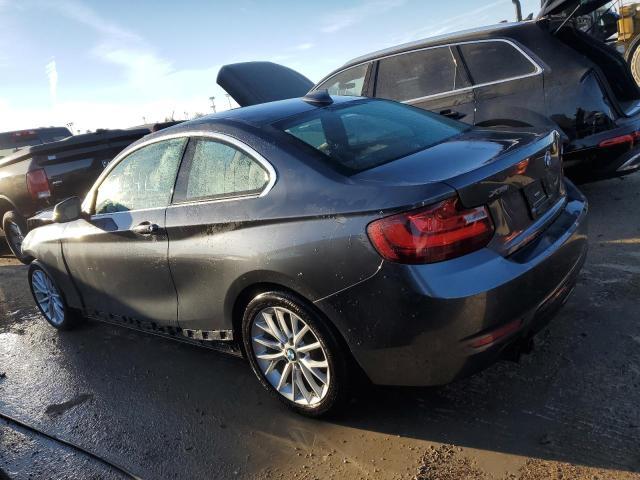 BMW 2 SERIES 228 XI SUL 2016