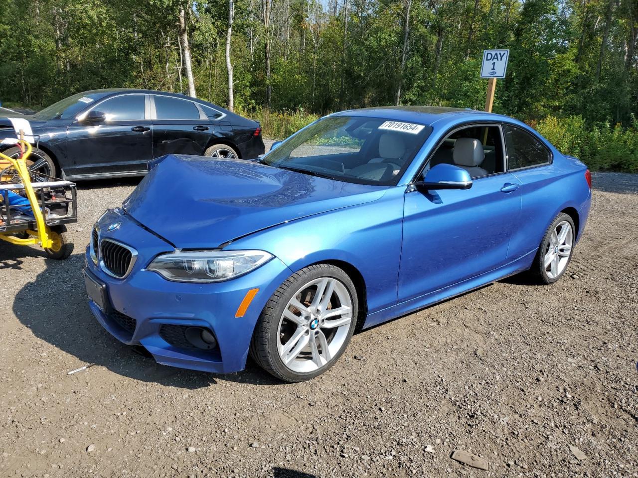 BMW 2 SERIES 230XI 2017