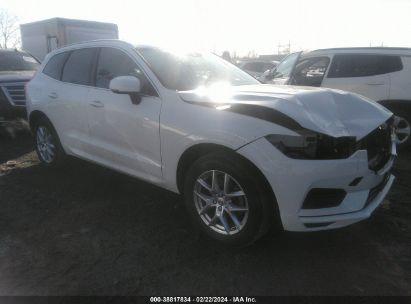 VOLVO XC60 T5 MOMENTUM 2020